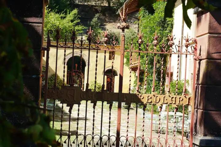 Ca L'Herbolari - Cozy Newly Renovated House Ca L'Herbolari Viladrau Dış mekan fotoğraf